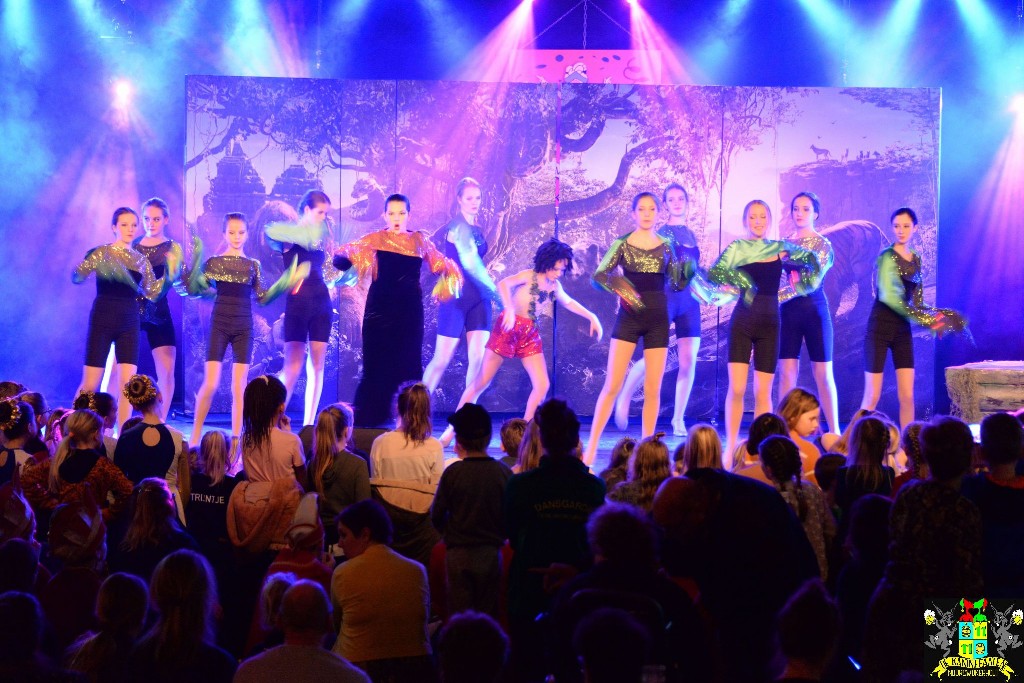 ../Images/Dansmariekefestival 2020 441.jpg